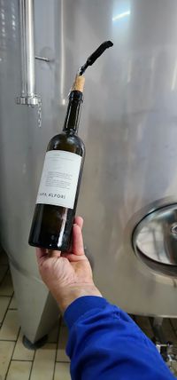 Vinya Alfori vino